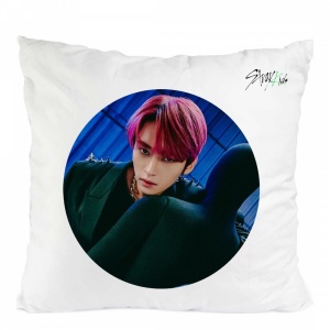Perna stray kids kpop i.n