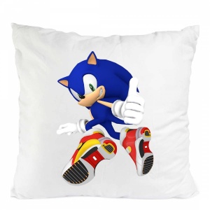 PERNA CU SONIC OK