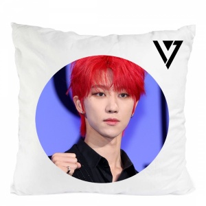 Perna seventeen trupa kpop the8