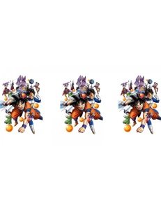 CANA DRAGON BALL - Img 2