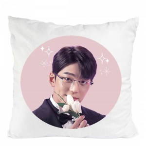 Perna a business proposal cha sung hoon