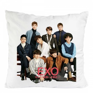 PERNA EXO KPOP
