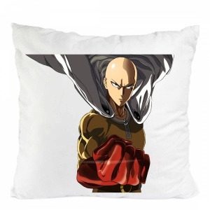 Perna one punch man anime