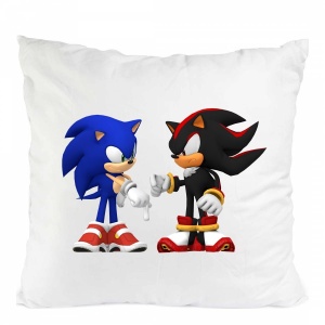 PERNA CU SONIC ANIME