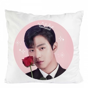 Perna a business proposal kang tae moo
