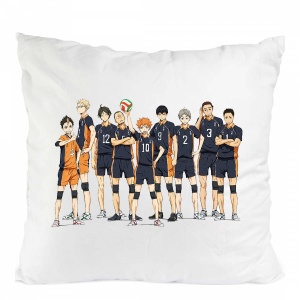 PERNA ANIME HAIKYUU