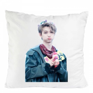 Perna felix stray kids