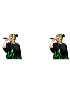 CANA BILLIE EILISH SINGER - Img 2