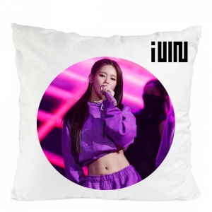 Perna gidle trupa kpop miyeon