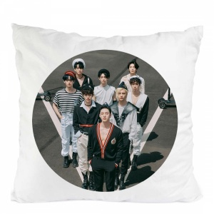 Perna stray kids trupa kpop maxident