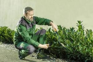 Pantaloni de lucru cu pieptar, RUWER, bretele elastice cu reglare, verde, buzunare genunchiere, elemente reflectorizante