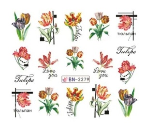 Decor unghii BN-2279