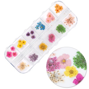 Flori uscate pentru decorarea unghiilor tip B