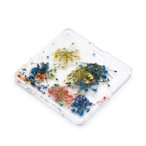 Flori uscate pentru decorarea unghiilor D31