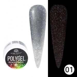 POLYGEL CONSTRUCTIE UNGHII CU SCLIPICI REFLECTORIZANT DISCO POLYGEL 15G, 01