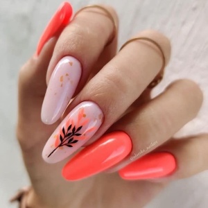 Gel color B nails N22