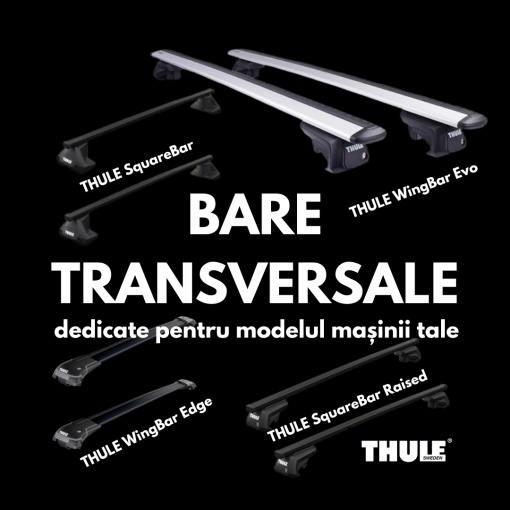 Bare transversale THULE
