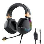 Casti Audio
