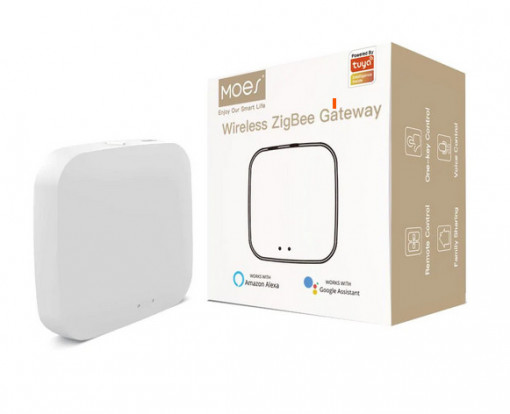 Gateway TUYA ZigBee Hub
