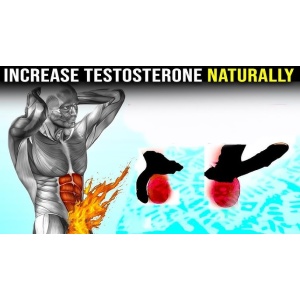 Fadogia Agrestis Extract 10:1 600mg 30 vcaps - Pentru Cresterea Nivelului de T3stosteron Evolution Nutrition SUA - Img 2