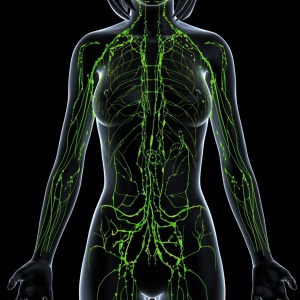 Lymphomyosot N 1.1 ml. 10 fiole Drenaj Limfatic Detoxifiere Intracelulara, Sindron Hodgkins - Img 2