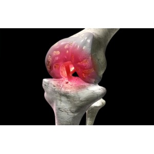 Guna Zeel T 50 tablete Cartilago + Totalis embrioni + Funiculus umbilicalis + Placenta + Dulcamara - Img 3