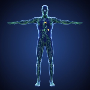 Lymphomyosot N 1.1 ml. 10 fiole Drenaj Limfatic Detoxifiere Intracelulara, Sindron Hodgkins - Img 3