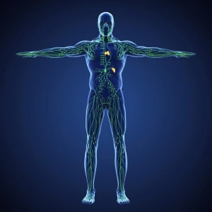 Lymphomyosot N 1.1 ml. 10 fiole Drenaj Limfatic Detoxifiere Intracelulara, Sindron Hodgkins - Img 3