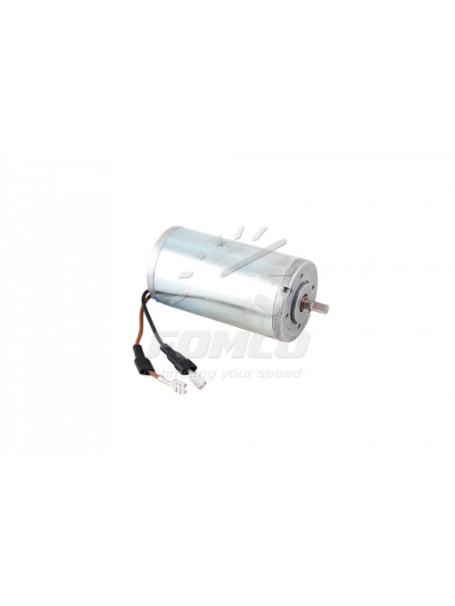 Motor Webasto DBW 2010/2012 24V