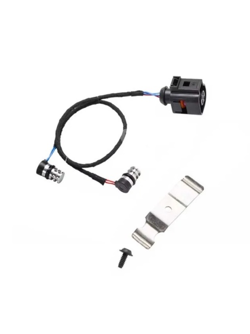 W SENZOR TEMPERATURA TT-EVO AM