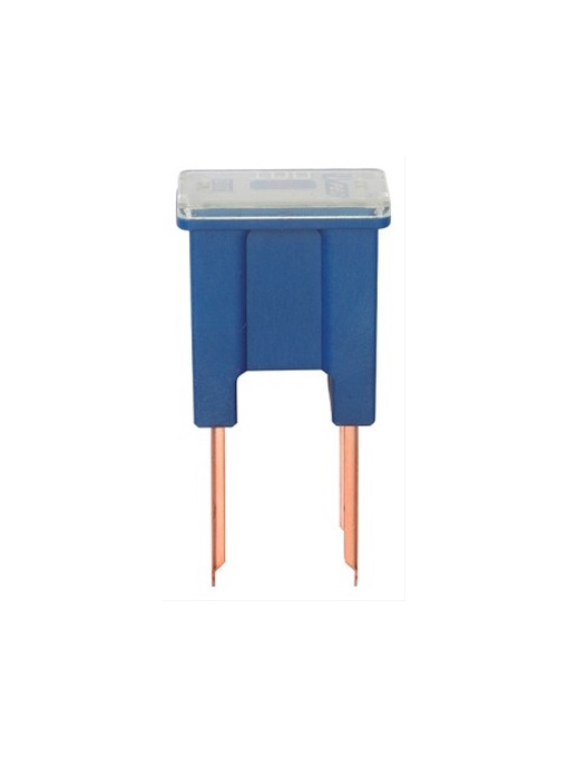 A225069 Siguranta Japoneza Barbat 100A (Albastru) Restagraf
