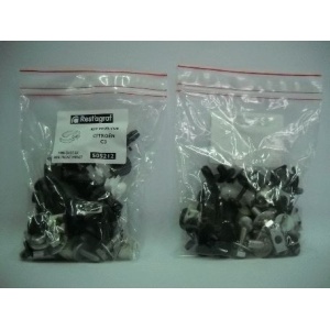 A505212 Sfnbb Set Agrafe Montaj Bara Fata Citroen C3 Restagraf