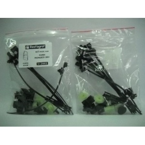 A513003 Sfnbb Set Agrafe Montaj Usa Mondeo Iii 2001- Restagraf