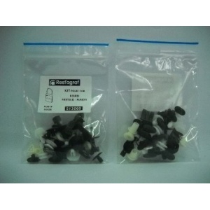 A513005 Sfnbb Set Agrafe Montaj Usa Fiesta 2002-/Fusion Restagraf