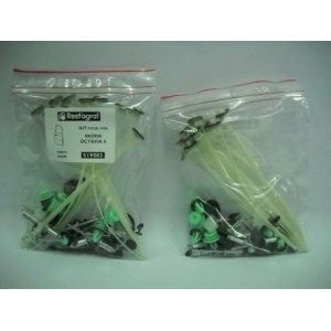 A519102 Sfnbb Set Agrafe Montaj Hayon Octavia I Restagraf