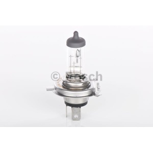 Bec Bosch Plus 60 H4 12V 60/55W P43t
