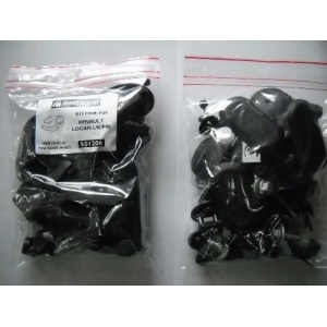 A519103 Fd Sfnbb Set Agrafe Montaj Hayon Octavia Ii Restagraf