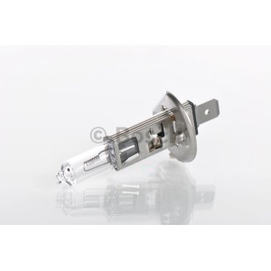 Bec Bosch Trucklight H1 24V 70W P14.5s