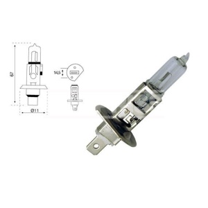 Bec Carpriss H1 24V 75W P14.5s