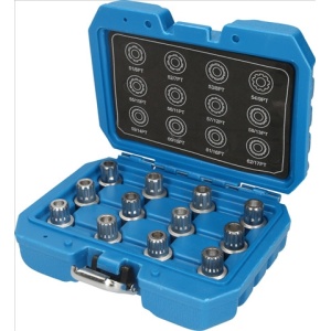 Set Ptr Desfacerea Antifurtului Ptr Jante Ptr Vw, 12 Pcs-Brilliant
