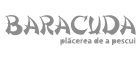 Baracuda