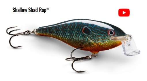 Vobler Rapala Shallow Shad Rap® 7 cm