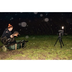 Fox, Halo, Lampa Fotografii