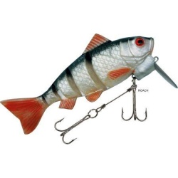 RAPTURE DANCER PERCH LIVE TAIL ROACH