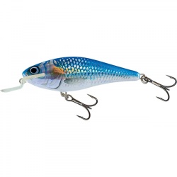 Salmo, Vobler, Executor, Holo Shiner, Floating Shallow Runner