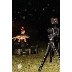 Fox, Halo, Lampa Fotografii