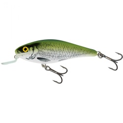 Salmo, Vobler, Executor, Olive Bleak, Floating Shallow Runner