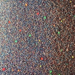 Senzor, Mix Pelete 2-3mm, Fishmeal 5kg. - Editie Limitata