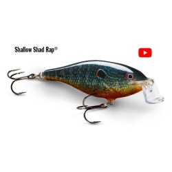 Vobler Rapala Shallow Shad Rap® 7 cm