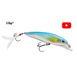 Vobler Rapala X-Rap® 10cm